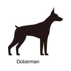 Doberman dog silhouette, side view, vector illustration
