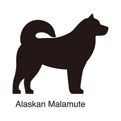Alaskan Malamute dog silhouette, side view, vector illustration