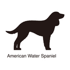 American Water Spaniel dog silhouette, side view, vector illustration