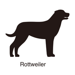 Rottweiler dog silhouette, side view, vector illustration