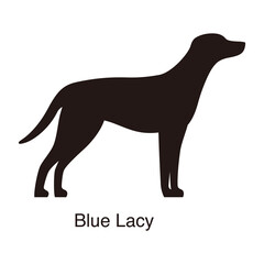 Blue Lacy dog silhouette, side view, vector illustration