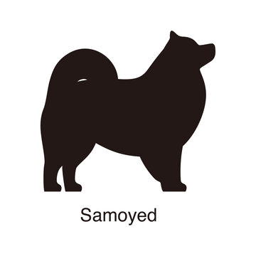 Samoyed dog silhouette, side view, vector illustration