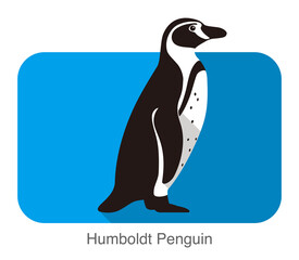 Humboldt penguin standing flat icon vector illustration - obrazy, fototapety, plakaty