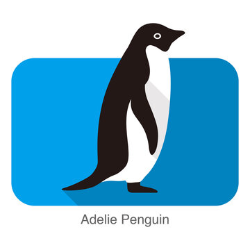 Adelie penguin standing, Penguin series vector illustration