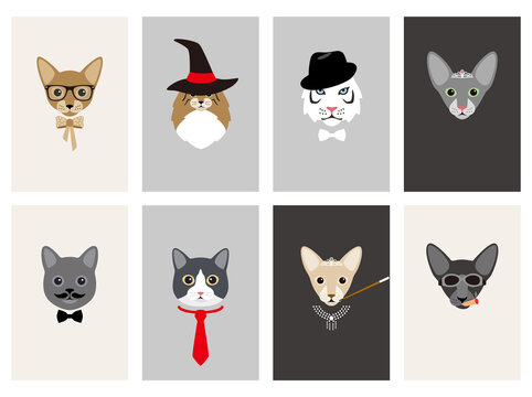 hipster, portrait of cat, gentlemen cat, vector illustration