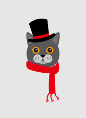 Portrait of cat, wearing hat and scarf, like a gentleman, cool style, cosplay