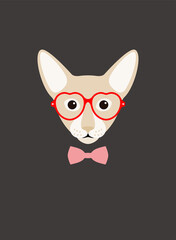 Obraz premium Portrait of cat, wearing glasses, like a lady, cool style, cosplay