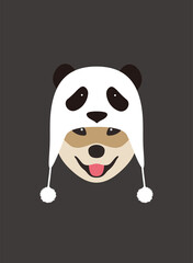 Portrait of dog, wearing panda hair hoop, cool style