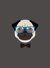 Portrait of pug dog, wearing glasses and bow tie, like a teacher, cool style