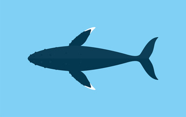 Humpback Whales swimming in the sea, animal flat icon