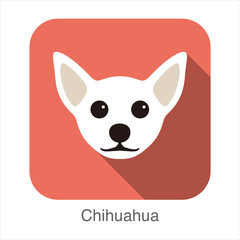 Chihuahua face flat icon design, vector illustration