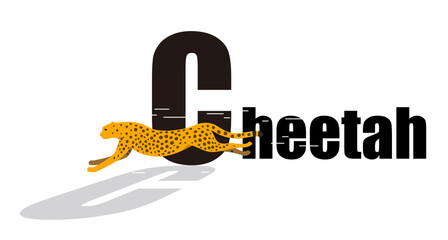 Cheetah running side flat 3D icon design, vector illustration