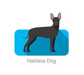 Hairless dog standing and watching, vector illustration