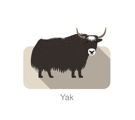 Yak standing on the ground, and some snow on its body