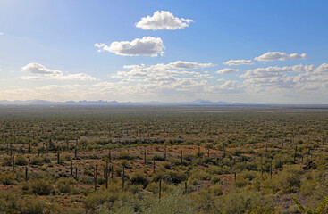 Arizona desert - Picacho Peak State Park, Arizona