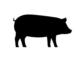 Pig, farm animal black icon, vector illustration