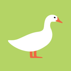 Duck, farm animal black icon, vector illustration