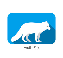 White Arctic fox standing, illustration vector