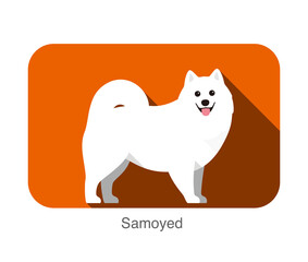 Samoyed dog standing on the ground, side, face forward, dog cartoon image