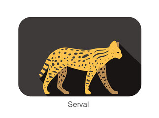 Serval cat walking side flat 3D icon design