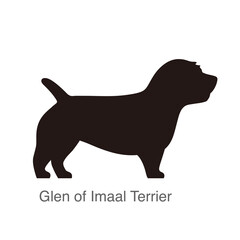 Glen of imaal terrier dog on the hole, watching, vector illustration