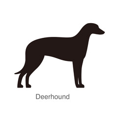 Deerhound dog on the hole, watching, vector illustration