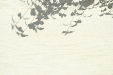 Wooden desk of free space with shadows. Empty white wooden table background with natural leaves or plants shadow