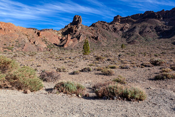 Fototapeta na wymiar Martian landscapes near the Teide volcano. Tenerife island.