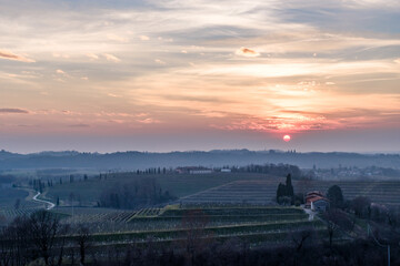 Spring sunset in the vineyards of Collio Friulano