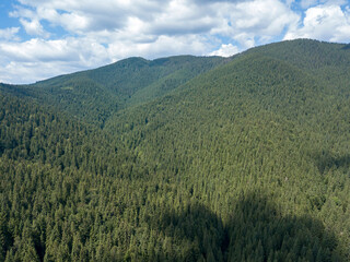 Obraz premium Green mountains of Ukrainian Carpathians in summer. Sunny day, rare clouds. Aerial drone view.