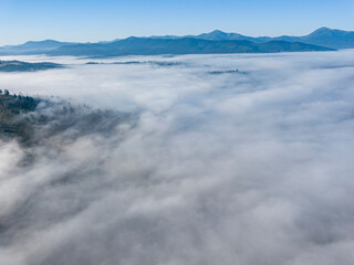 Fototapeta na wymiar Morning mist in Ukrainian Carpathian mountains. Aerial drone view.