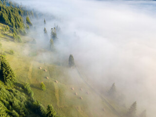 Fog envelops the mountain forest. The rays of the rising sun break through the fog. Aerial drone view.