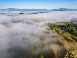 Morning fog in the Ukrainian Carpathians. Aerial drone view.