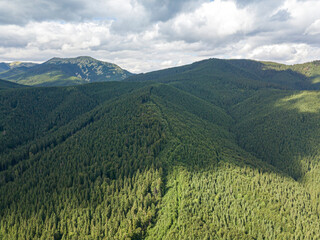 Obraz premium High mountains of the Ukrainian Carpathians in sunny weather. Aerial drone view.