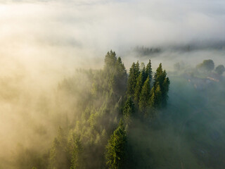 Foggy summer morning in the Ukrainian Carpathians. Aerial drone view.