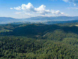 Green mountains of Ukrainian Carpathians in summer. Sunny day. Aerial drone view.