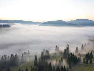 Fotobehang Mistig bos Ochtendmist in de Oekraïense Karpaten. Luchtfoto drone-weergave.