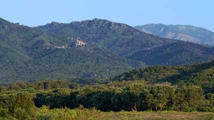 Fototapeta na wymiar Mountain and Linguizetta vineyards in eastern plain of Corsica