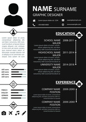 CV Resume Template. Modern Simple Design. Clean Color Background. Editable Vector. A4 Paper Size. Best for Job Application
