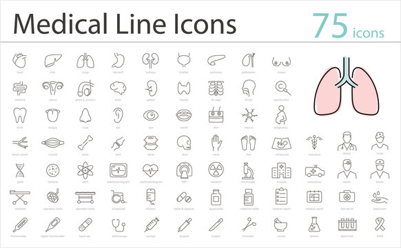 Human Organs icon set, medical icons, vector illustration