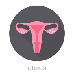 Woman uterus flat design icon, vector illustration