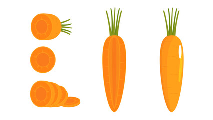 Set the carrot vector, sliced and whole carrots. Fresh cartoon vegetables are isolated on a white background. Illustrations are used for magazines, books, posters, cards, menu covers, etc.
