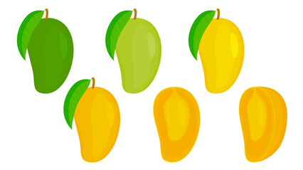 Mango Slice Vector Set. Stock Image of Mango Illustration Fruit Vector Design. Green until ready to eat.