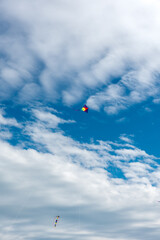 Colorful Kites flying over the sky