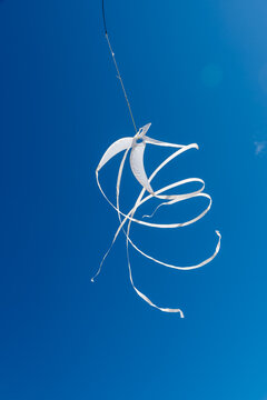 Colorful Kites flying over the sky