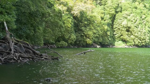 Rural Azores.  Along the banks of the Lagoon Congro with trees