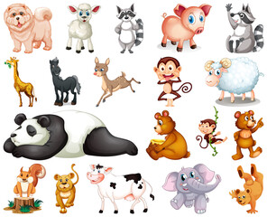 Set of animal cartoon character