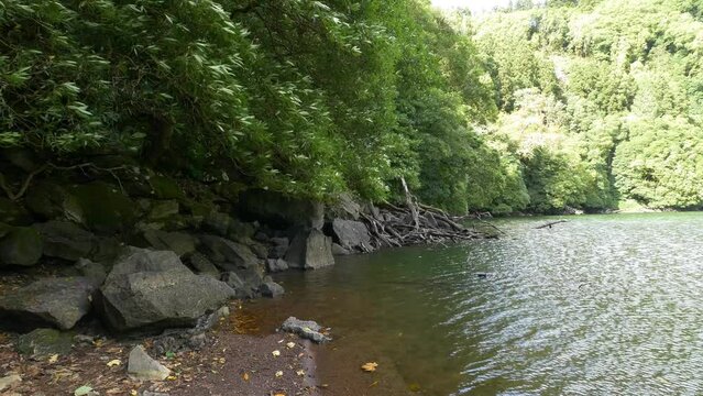 Rural Azores.  Along the banks of the Lagoon Congro with trees