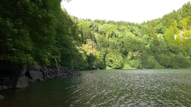 Rural Azores.  Along the banks of the Lagoon Congro with trees