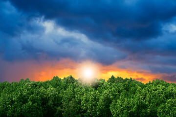 Dramatic sky nature and Thunder storm clouds, Evergreen forest in Rainy season with Sunset, Sunlight or Twilight evening background and wallpaper of Environment weather forecast with copy space.